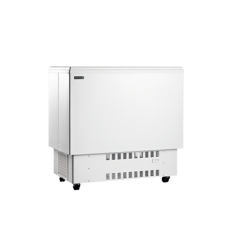 Witte Drankkoelkast 226 L TEFCOLD - Koeling & Opslag Witte Drankkoelkast 226 L TEFCOLD - Koeling & Opslag