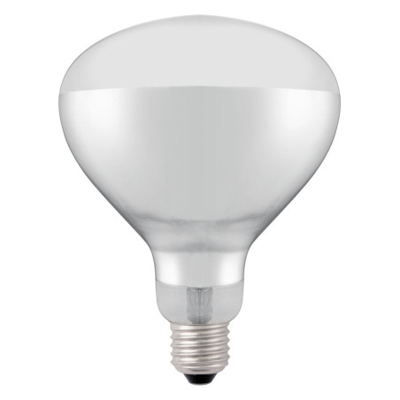 Gloeilamp voor infrarood warmtelamp - Merk HENDI - Fourniresto