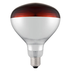 Gloeilamp voor infrarood warmtelamp
