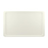 Dienblad van polyester GN1/1 530x325mm Parelwit - Roltex - Fourniresto