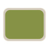Standard Polyester Service Tray 470x360mm Green - Roltex - Fourniresto