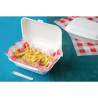 Scharnierdeckel-Schalen aus kompostierbarem Bagasse - 500 ml - Packung mit 250 - Fiesta Green