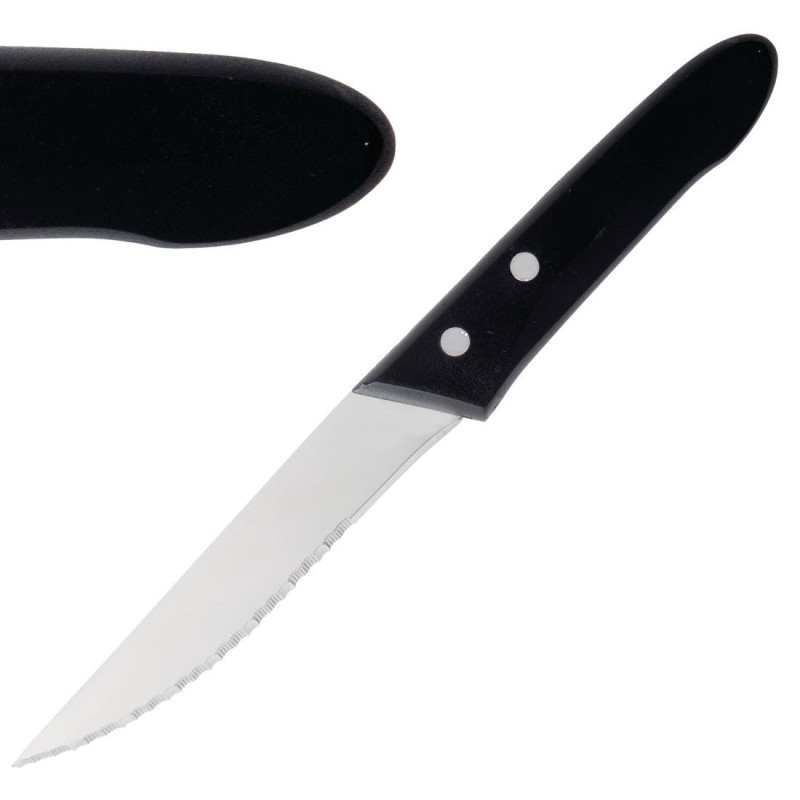 Steak Knife - 250mm - Set of 12 - DEGLON Steak Knife - 250mm - Set of 12 - DEGLON