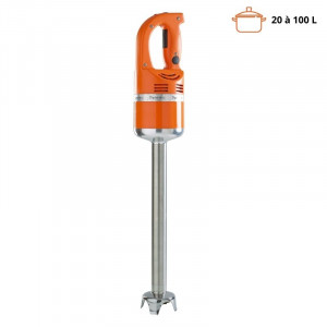 Stabmixer Master MX 2000 Standard - FourniResto.com
