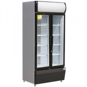 Koelvitrine met 2 Deuren - 4 Schappen - H 1973