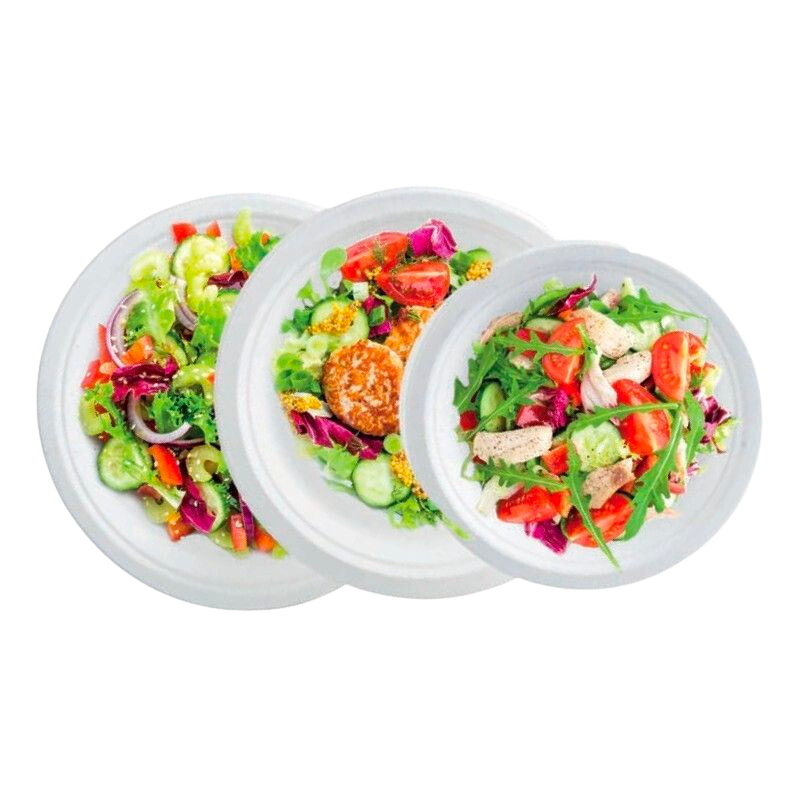 Runder Teller aus Bagasse - 230 x 20,6 mm - Packung mit 50 Runder Teller aus Bagasse - 230 x 20,6 mm - Packung mit 50